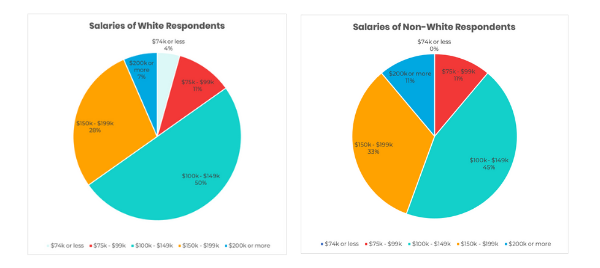 charter school ceo salaries and racial identity