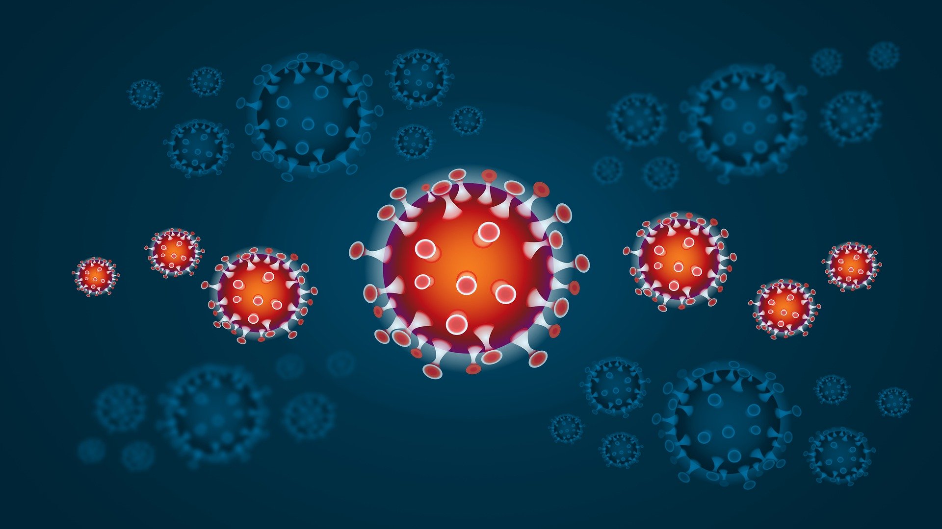 Charter School Governance and the Coronavirus Pandemic: Key Questions Boards Must Address